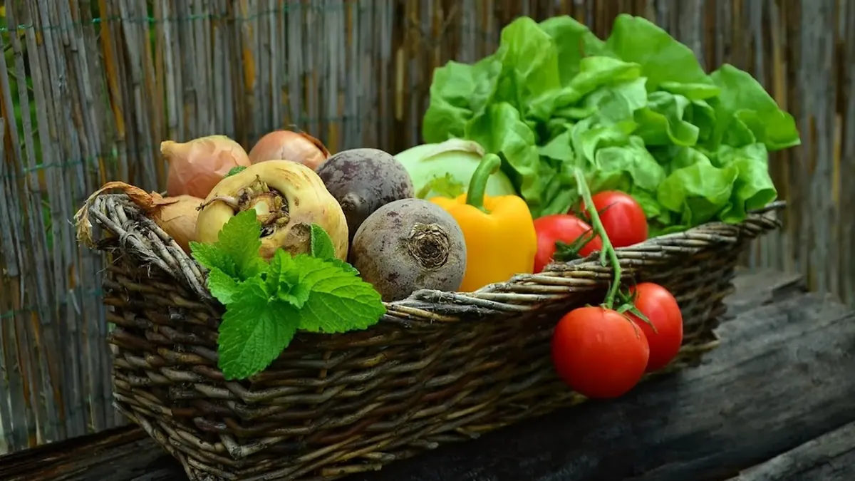 Imagen editorial sobre ALIMENTACIÓN Y EMBARAZO con Gabriela Uriarte
