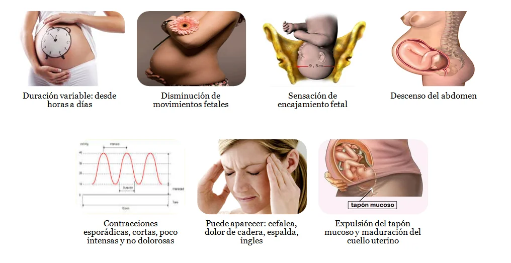 Esquema de los pródromos de parto: contracciones irregulares, presión pélvica, pérdida del tapón mucoso